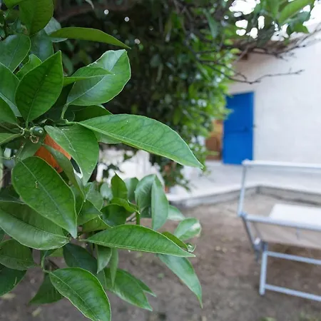 Seta Αγκριτζέντο