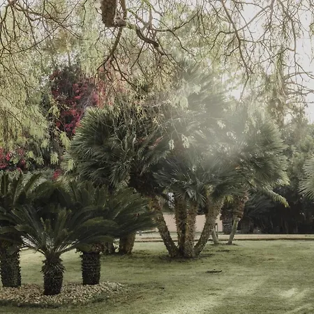 Seta Bed and Breakfast Αγκριτζέντο