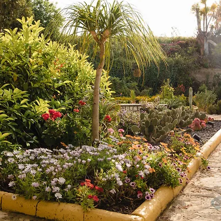 Seta Bed and breakfast