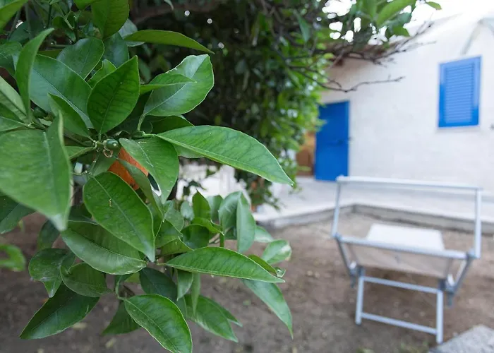 Seta Agrigento